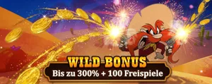 wild bonus beep bep casino